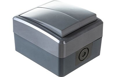 Выключатель 2-клавиши ЭРА 11-1404-03 IP54, 10АХ-250В, ОУ, Era Эксперт, серый Б0020676 