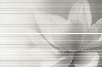 Борсари Панно HGD\A200\2x\12102R 50*75