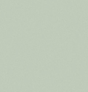 Обои AnturAGe 8890-05AN 1,06*10м 