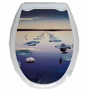 Сидение для унитаза с рисунком Кувшинки