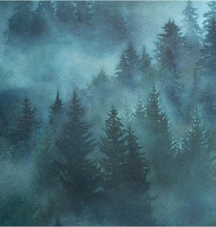 Обои Home Color 71960-67НС 1,06*10м