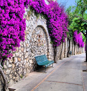 Фотообои Б1-147 Лавочка 300*270