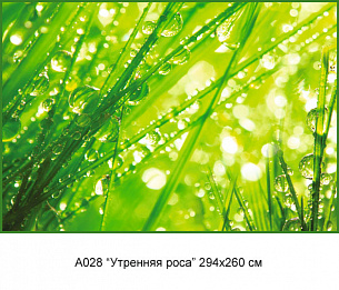 Фотообои А 028 Утреняя роса