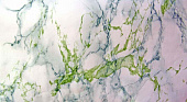 Пленка  мрамор бело-зеленый 3965