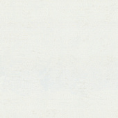 Обои EuroDecor 6058-00 1,06*10м 