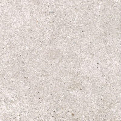 Прожетто Е (серый) глаз. 60х60 NR0028