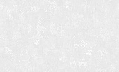 Обои Erismann 60211-01 Valse 1.06*10м