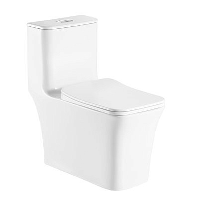 Унитаз-моноблок AZARIO Gressa безободковый c сиденьем дюропласт микролифт AZ-1111