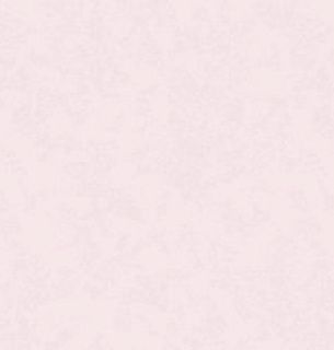 Обои AnturAGe 8805-04AN Leya 1,06*10м  