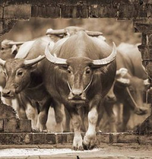 Фотообои D2-103 Буйволы 3D 400х270 см
