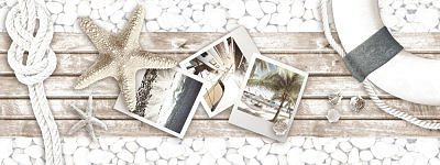 Adriatica Декор DWU06ADR010 15х40