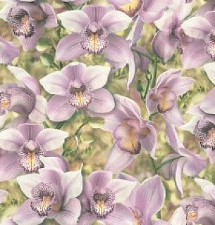 Обои Simple 71836-56SP Orchidea 1,06*10м