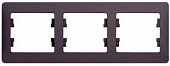 Рамка 3 места , горизонтальная , платина SchE GSL001203