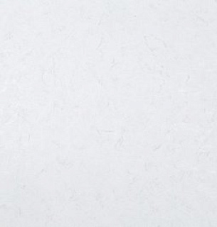 Обои Palitra Family 72053-11FM 1,06*10м