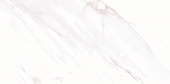 Плитка керамическая AltaCera Eterna Light WT9ETE00 249*500