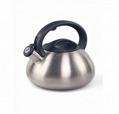 Чайник со свистком 3л DUET ASD004