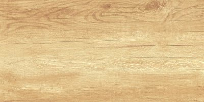 Плитка керамическая AltaCera Парадайс Вуд /Paradise Wood WT9OAS31 250*500